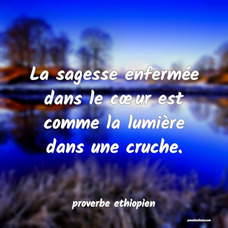 La sagesse enfermée dans le cœur est comme la lumière dans une cruche.
