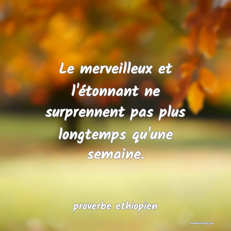 Le merveilleux et l'étonnant ne surprennent pas plus longtemps qu'une semaine.
