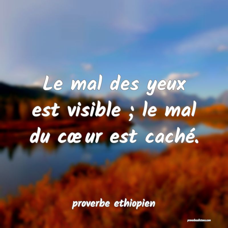 Le mal des yeux est visible ; le mal du cœur est caché.
