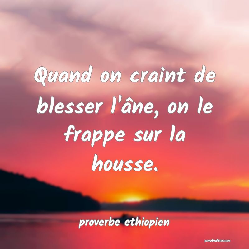 Quand on craint de blesser l'âne, on le frappe sur la housse.
