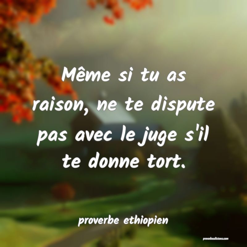 Même si tu as raison, ne te dispute pas avec le juge s'il te donne tort.
