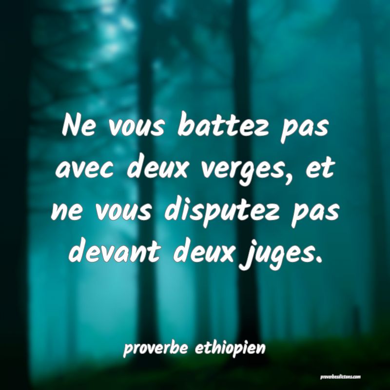 Ne vous battez pas avec deux verges, et ne vous disputez pas devant deux juges.

