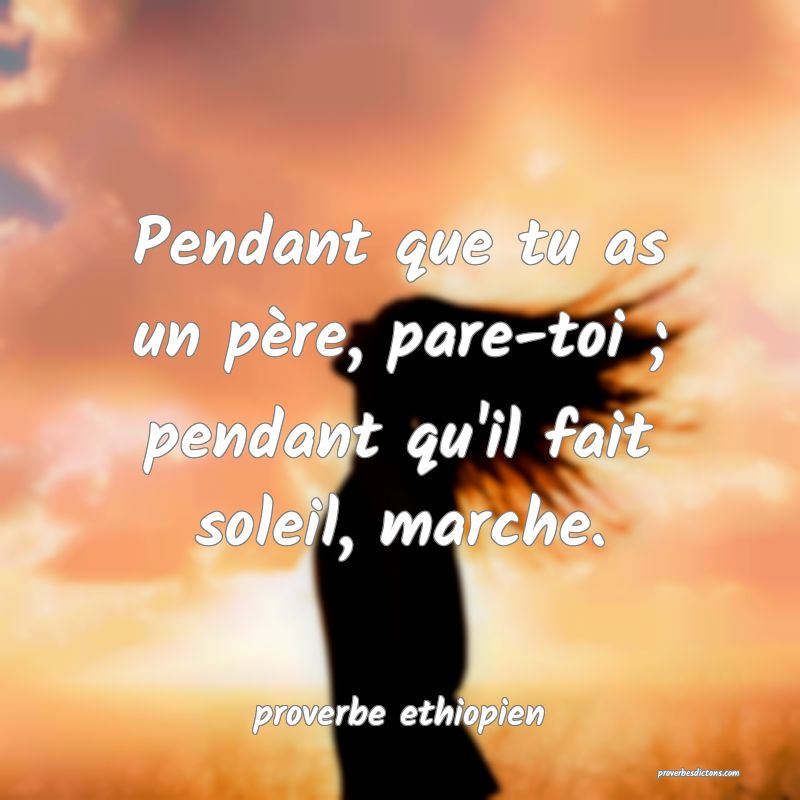 Pendant que tu as un père, pare-toi ; pendant qu'il fait soleil, marche.

