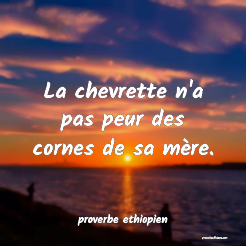 La chevrette n'a pas peur des cornes de sa mère.
