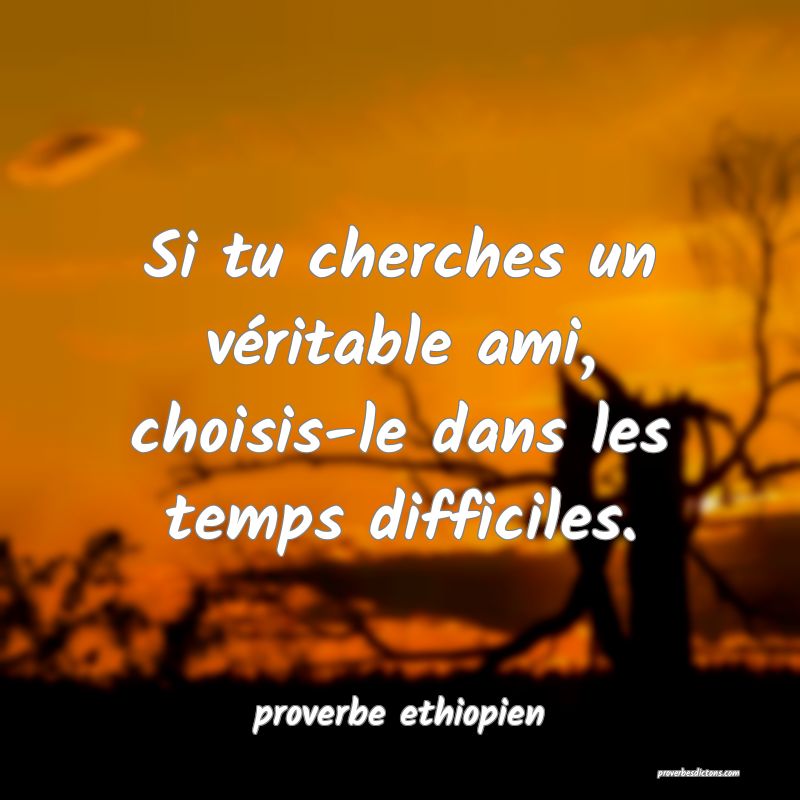 Si tu cherches un véritable ami, choisis-le dans les temps difficiles.
