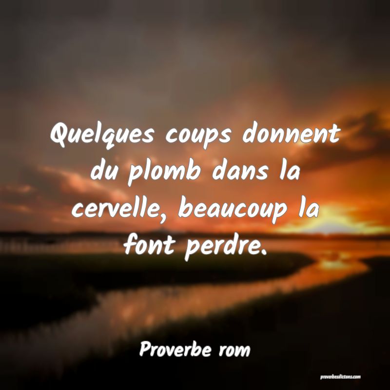 Quelques coups donnent du plomb dans la cervelle, beaucoup la font perdre.