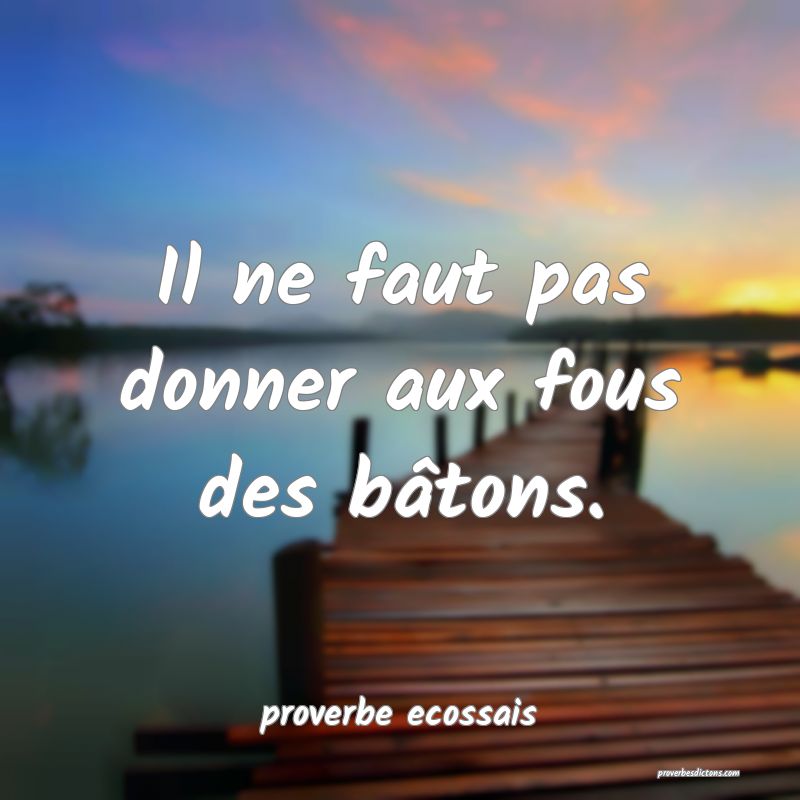 Il ne faut pas donner aux fous des bâtons.