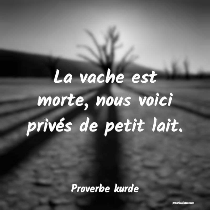 La vache est morte, nous voici privés de petit lait.