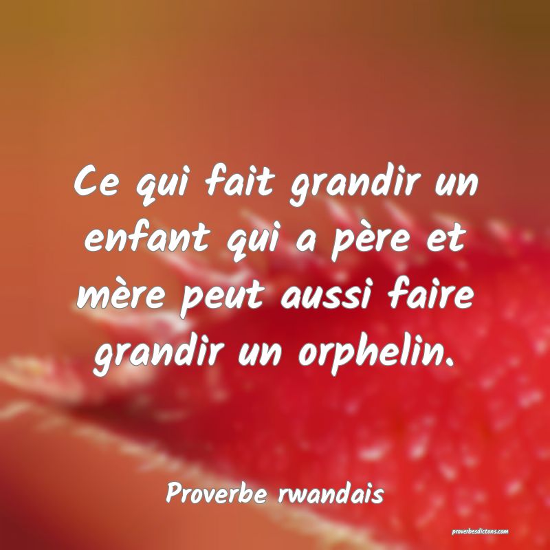 Ce qui fait grandir un enfant qui a père et mère peut aussi faire grandir un orphelin.