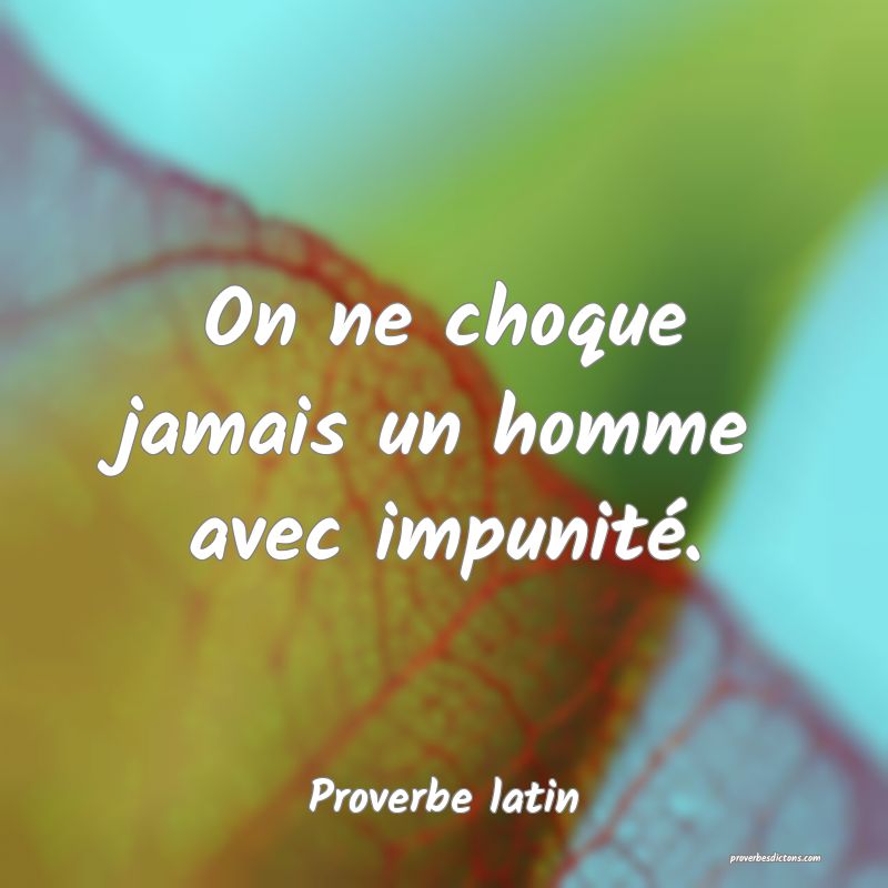 On ne choque jamais un homme avec impunité.