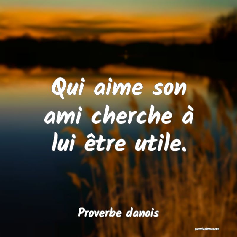 Qui aime son ami cherche à lui être utile.