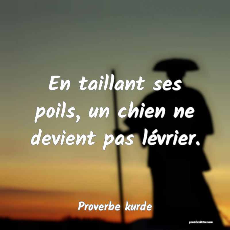 En taillant ses poils, un chien ne devient pas lévrier.