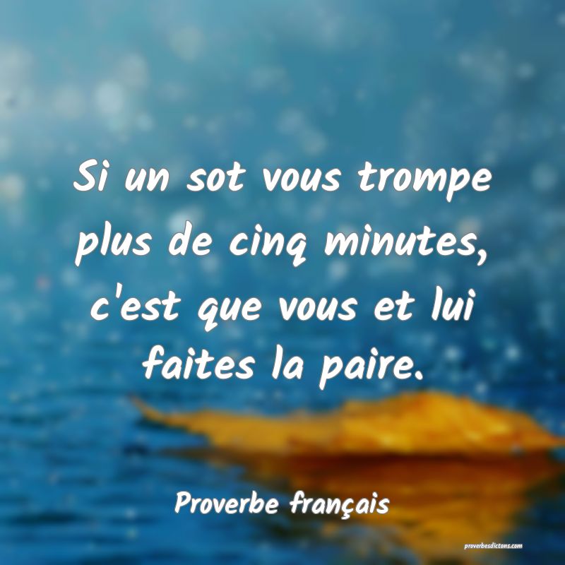 Si un sot vous trompe plus de cinq minutes, c'est que vous et lui faites la paire.