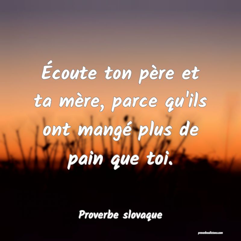 Écoute ton père et ta mère, parce qu'ils ont mangé plus de pain que toi.