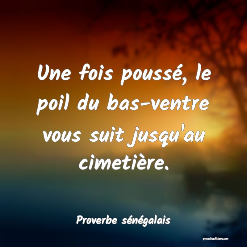  Une fois poussé, le poil du bas-ventre vous suit jusqu'au cimetière.