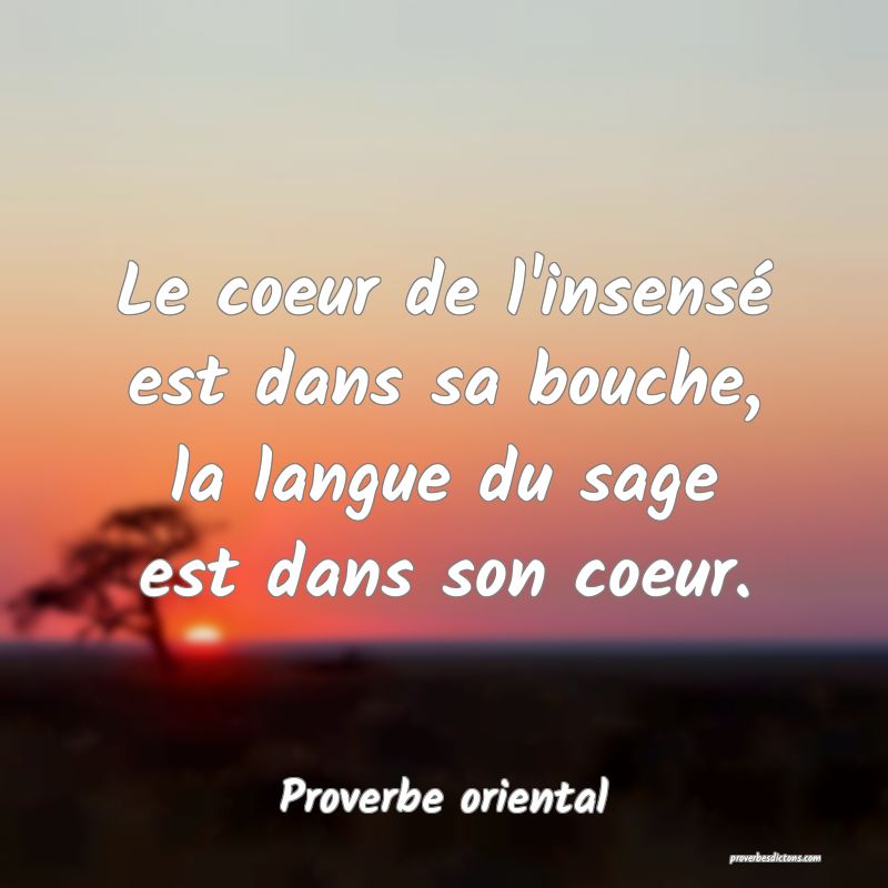 Le coeur de l'insensé est dans sa bouche, la langue du sage est dans son coeur.