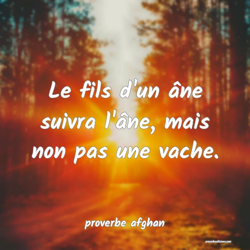 Le fils d'un âne suivra l'âne, mais non pas une vache.