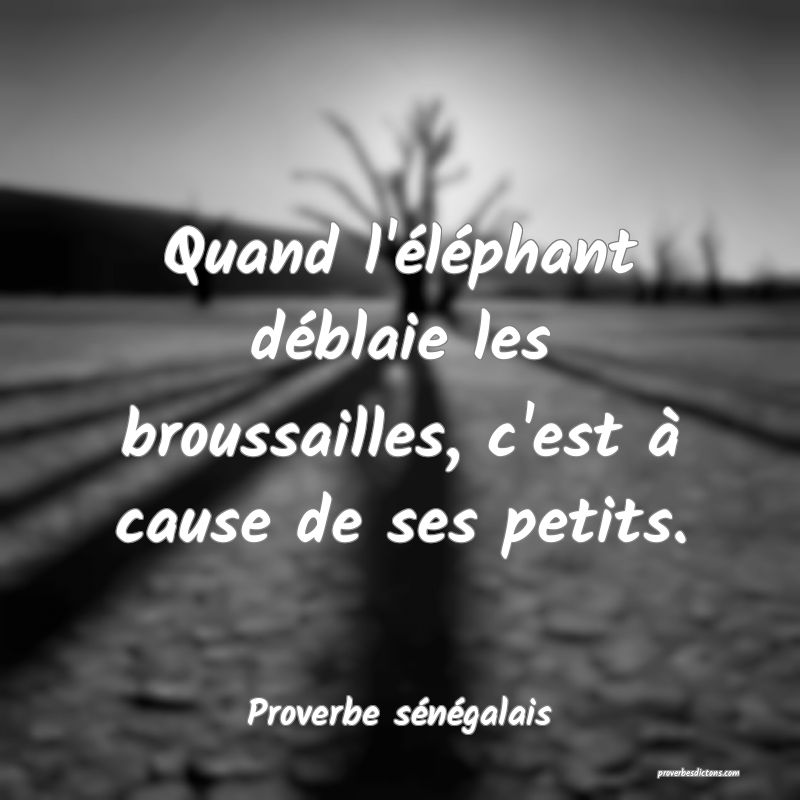  Quand l'éléphant déblaie les broussailles, c'est à cause de ses petits.