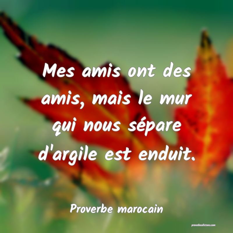 Mes amis ont des amis, mais le mur qui nous sépare d'argile est enduit.