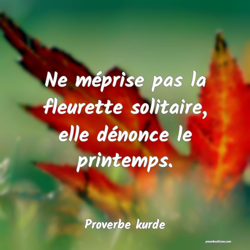 Ne méprise pas la fleurette solitaire, elle dénonce le printemps.