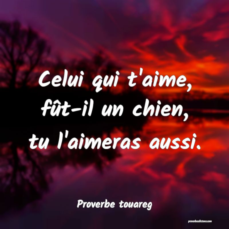 Celui qui t'aime, fût-il un chien, tu l'aimeras aussi.