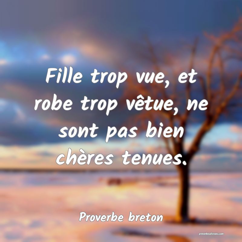 Fille trop vue, et robe trop vêtue, ne sont pas bien chères tenues.
