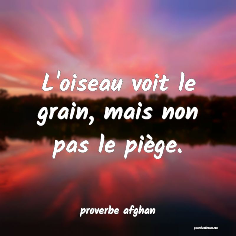 L'oiseau voit le grain, mais non pas le piège.