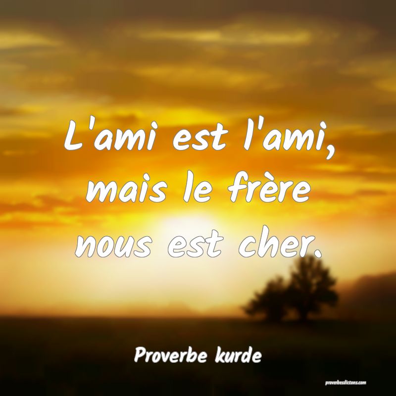 L'ami est l'ami, mais le frère nous est cher.