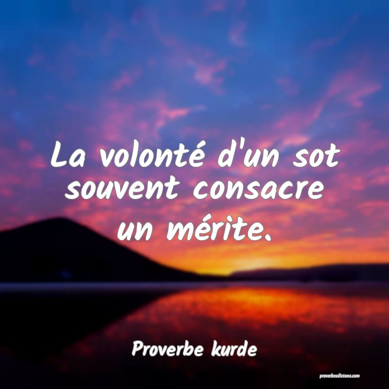 La volonté d'un sot souvent consacre un mérite.