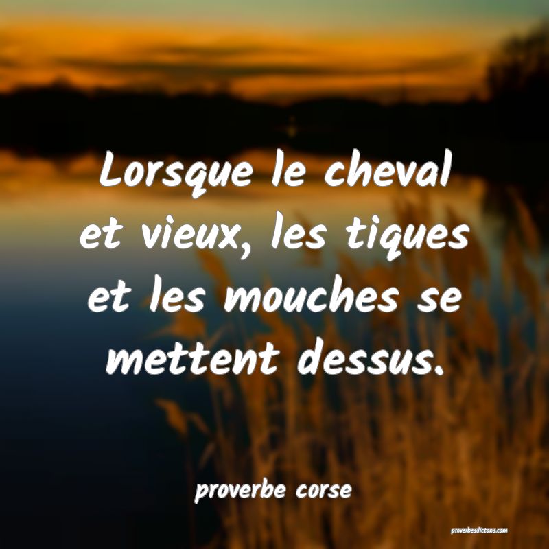  Lorsque le cheval et vieux, les tiques et les mouches se mettent dessus.