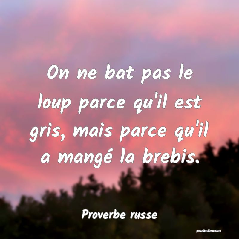  On ne bat pas le loup parce qu'il est gris, mais parce qu'il a mangé la brebis.
