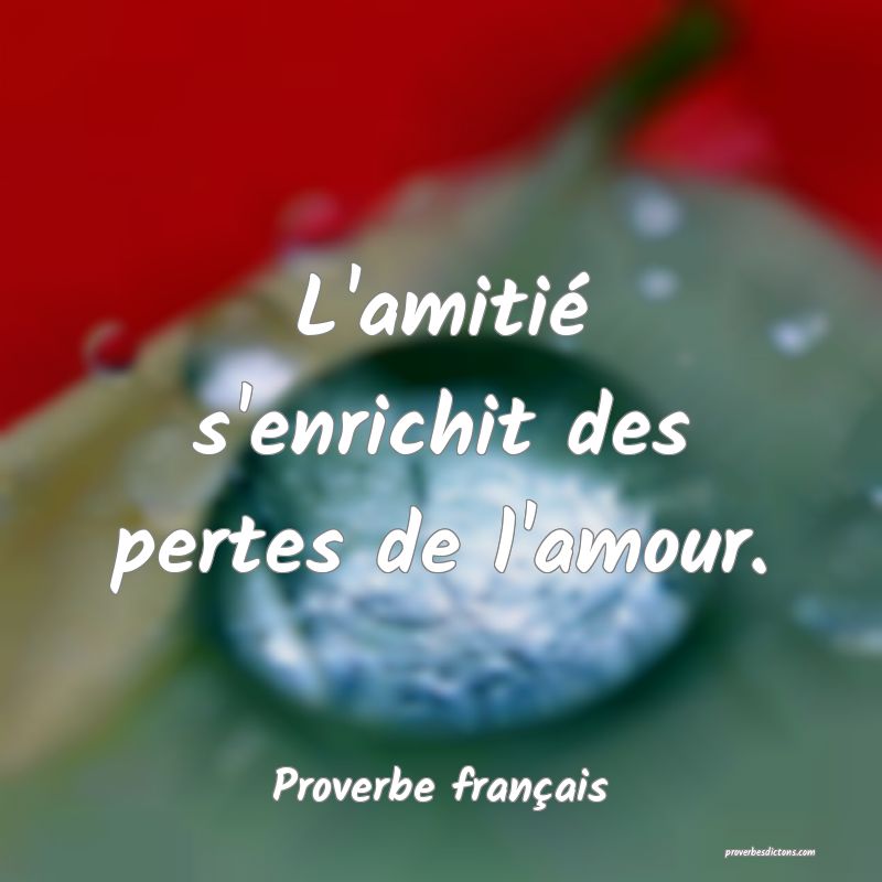 L'amitié s'enrichit des pertes de l'amour.