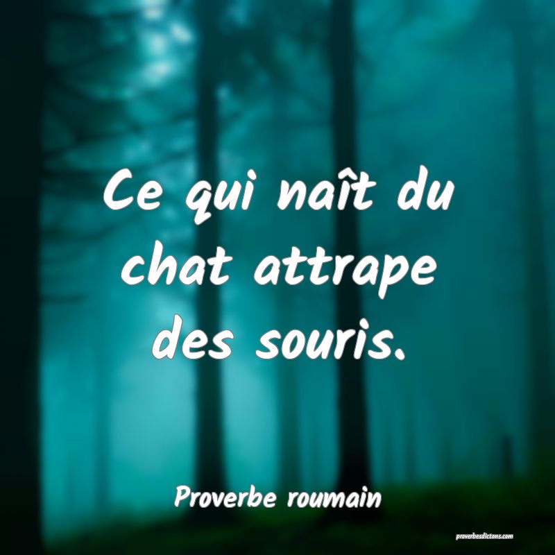 Ce qui naît du chat attrape des souris.