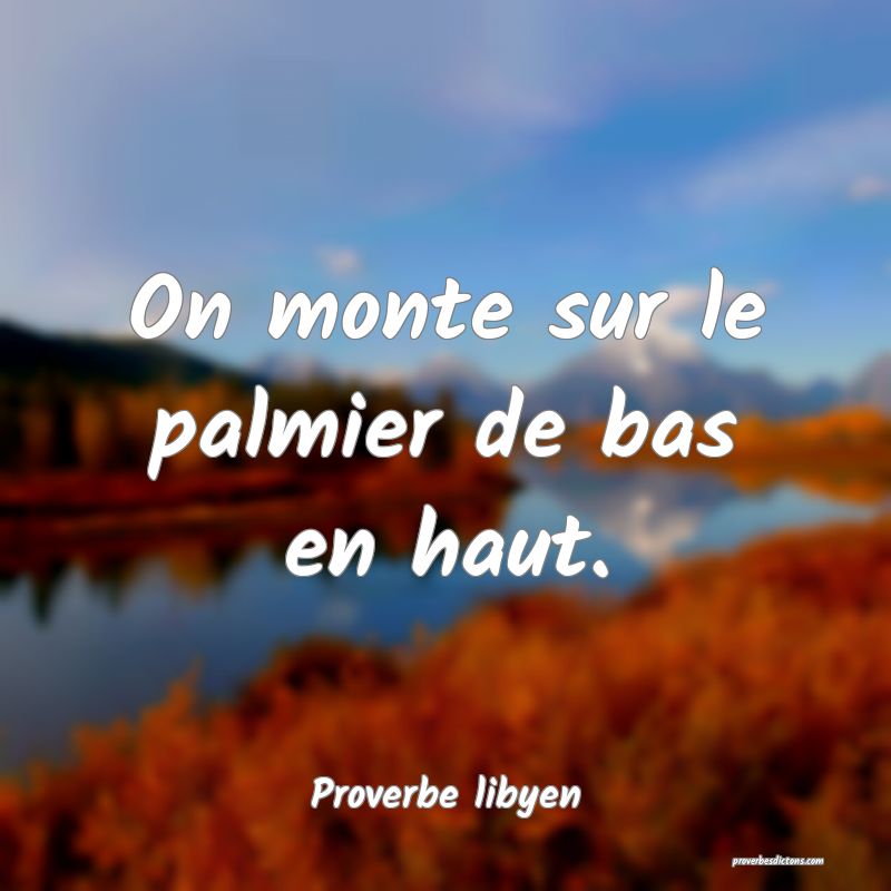 On monte sur le palmier de bas en haut.