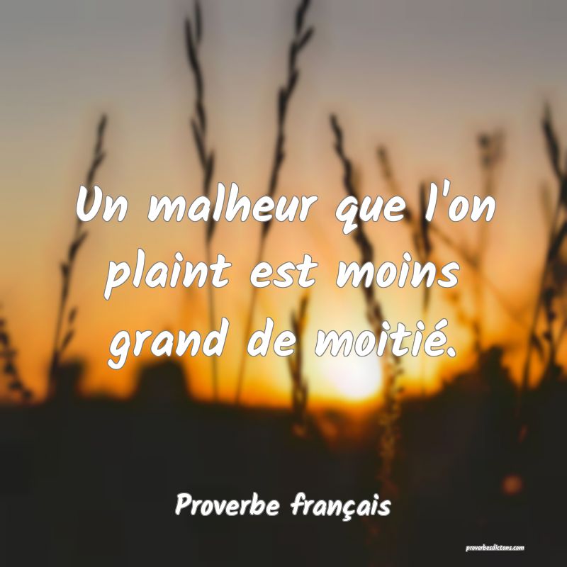 Un malheur que l'on plaint est moins grand de moitié.