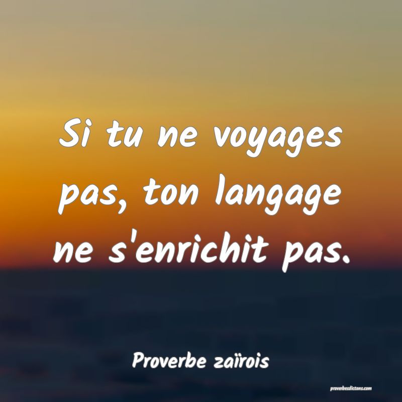 Si tu ne voyages pas, ton langage ne s'enrichit pas.