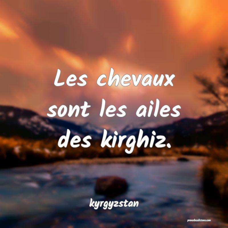  Les chevaux sont les ailes des kirghiz.