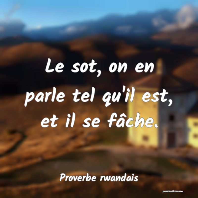 Le sot, on en parle tel qu'il est, et il se fâche.