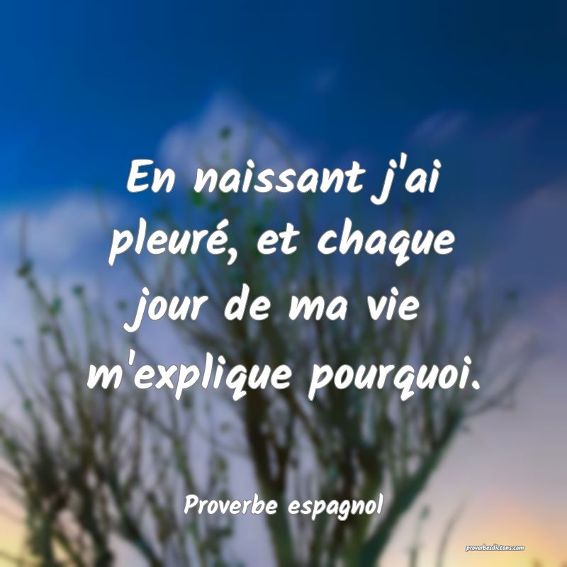 En naissant j'ai pleuré, et chaque jour de ma vie m'explique pourquoi.