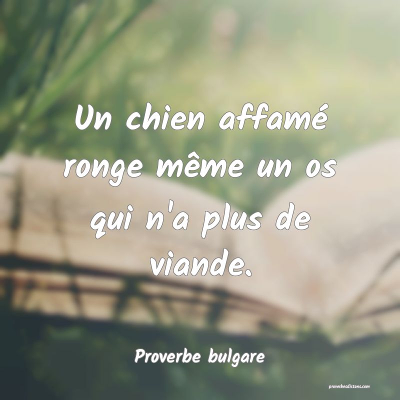 Un chien affamé ronge même un os qui n'a plus de viande.