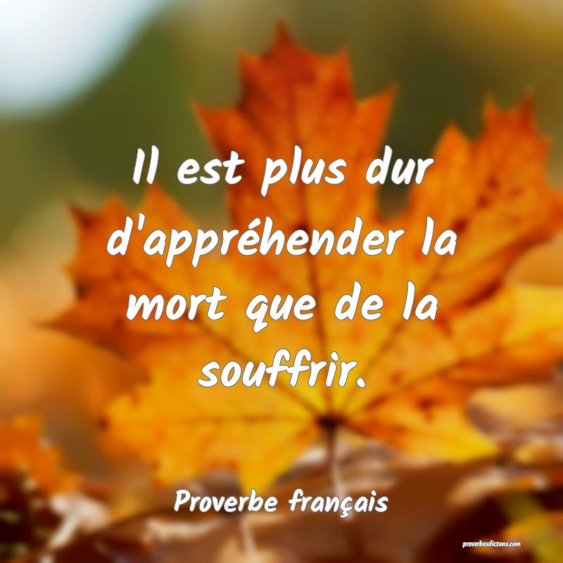 Il est plus dur d'appréhender la mort que de la souffrir.
