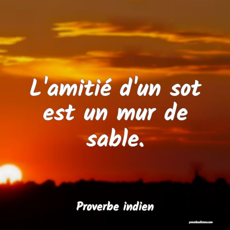 L'amitié d'un sot est un mur de sable.