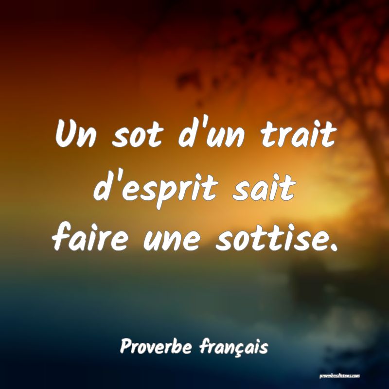 Un sot d'un trait d'esprit sait faire une sottise.