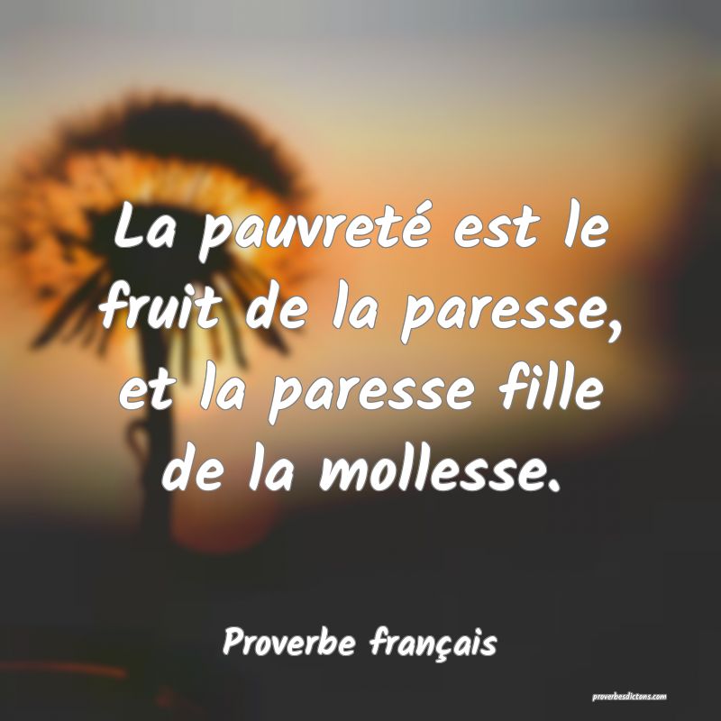 La pauvreté est le fruit de la paresse, et la paresse fille de la mollesse.