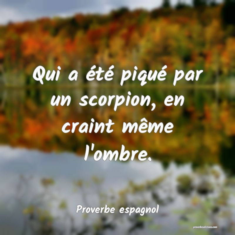 Qui a été piqué par un scorpion, en craint même l'ombre.