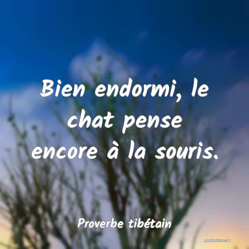 Bien endormi, le chat pense encore à la souris.
