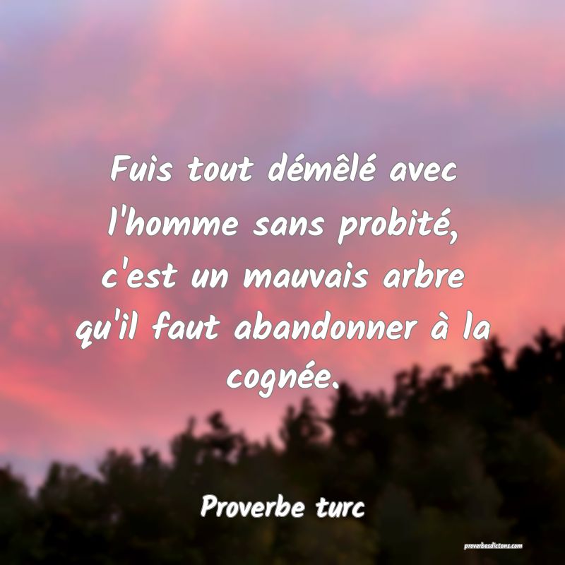 Fuis tout démêlé avec l'homme sans probité, c'est un mauvais arbre qu'il faut abandonner à la cognée.