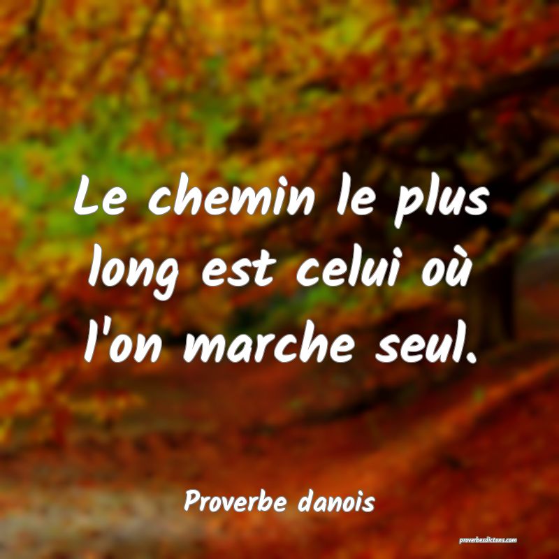 Le chemin le plus long est celui où l'on marche seul.