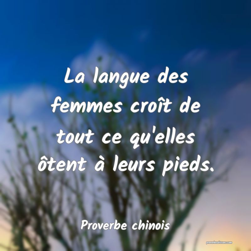 La langue des femmes croît de tout ce qu'elles ôtent à leurs pieds.