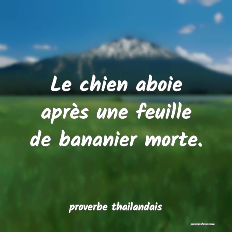  Le chien aboie après une feuille de bananier morte.